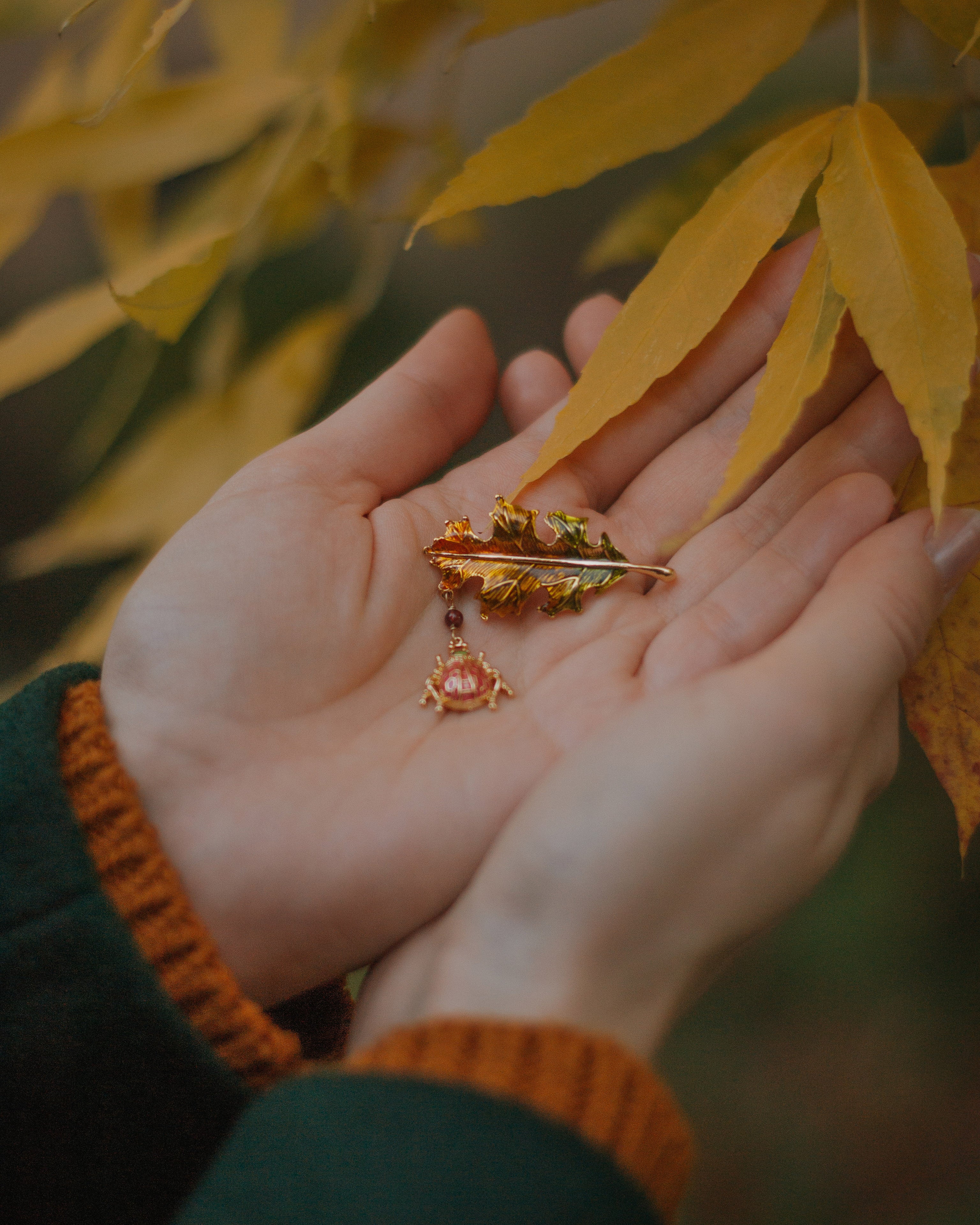 Ladybug Leaf Brooch - Image 17