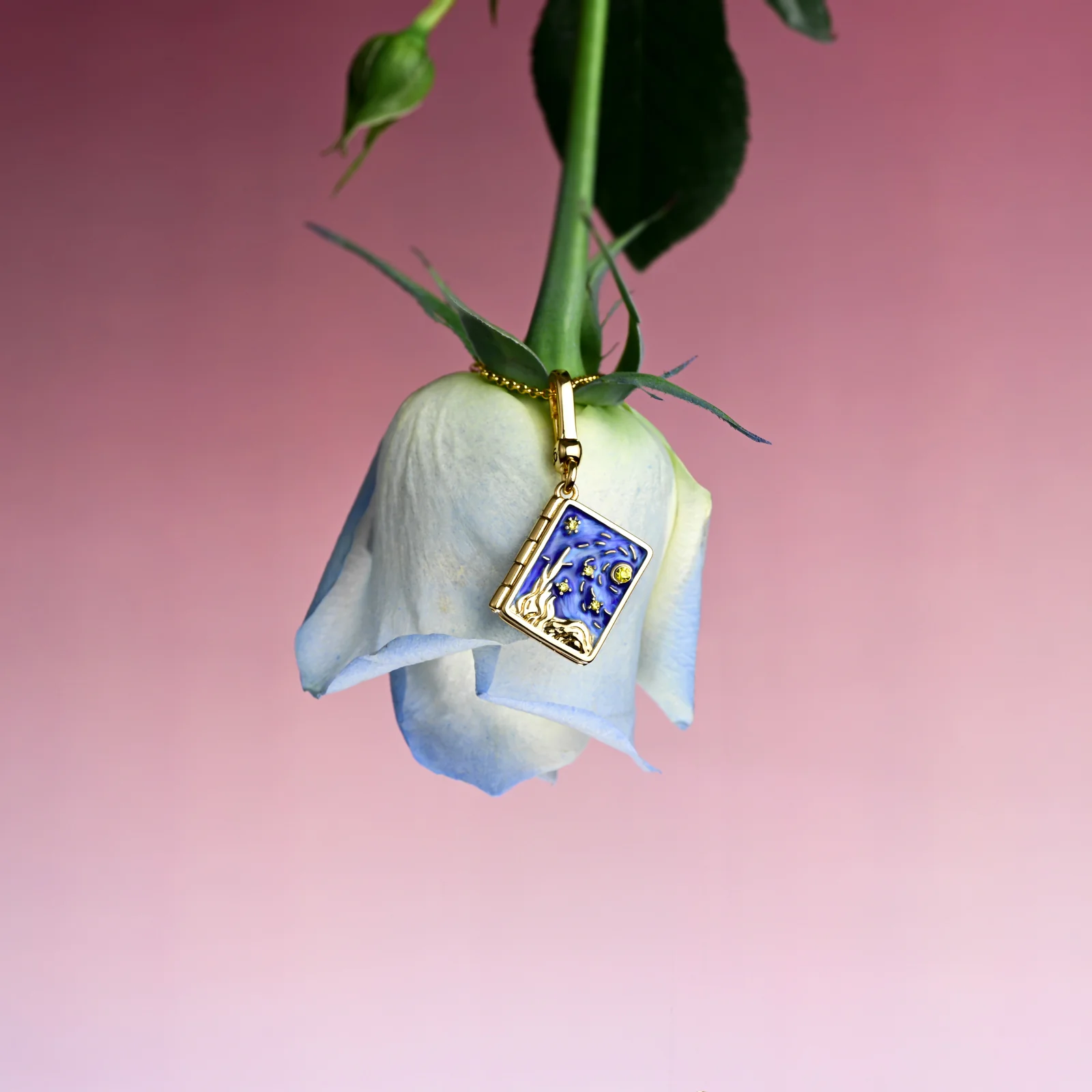 Starry Night Locket Necklace - Image 11